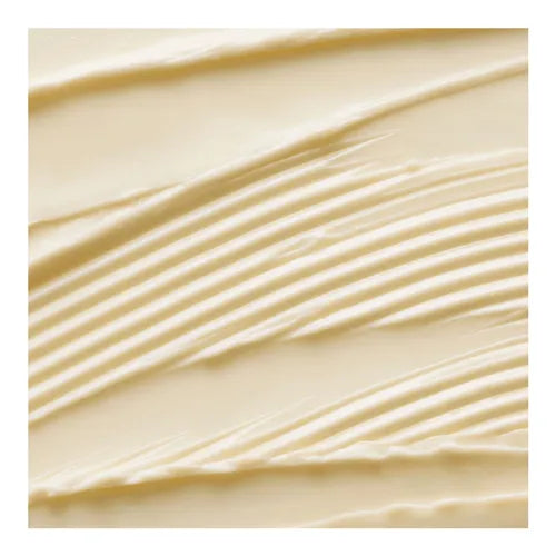 Bobbi Brown Vitamin Enriched Face Base Duo Set 50ml + 50ml - Moisturizer and Primer