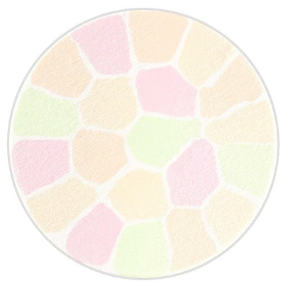 Albion Elegance La Poudre Haute Nuance Luxueuse 