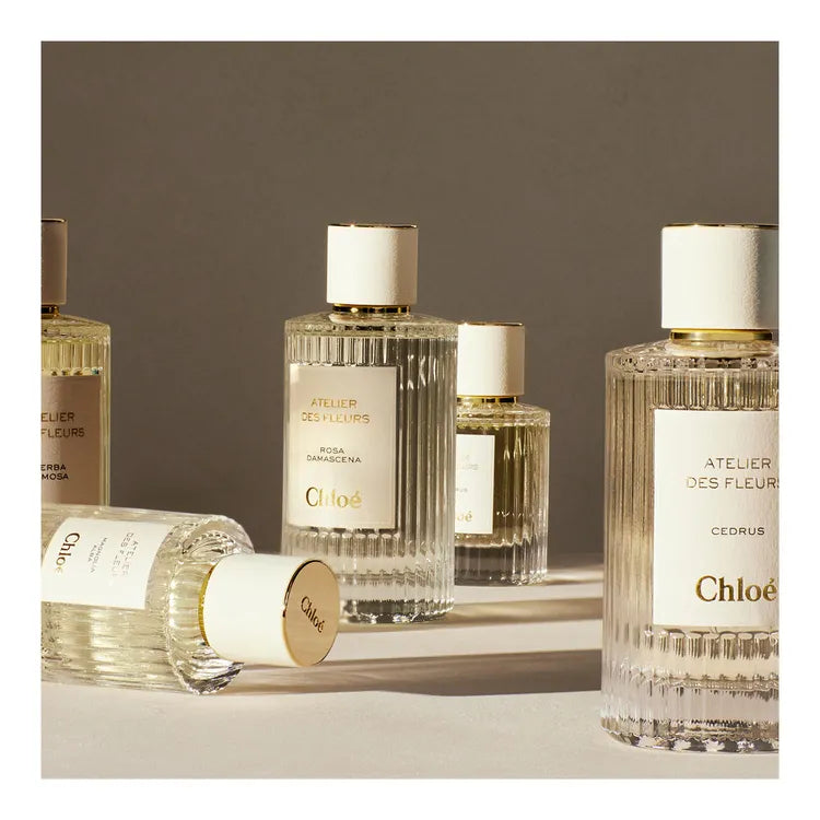 Chloé Atelier Des Fleurs Cedrus De Parfum 50ml