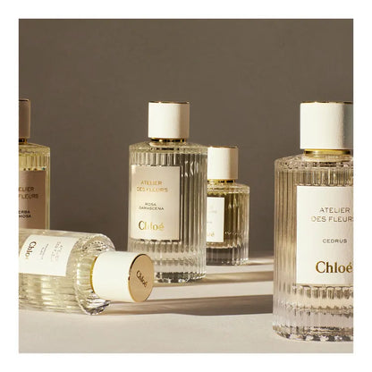 Chloé Atelier Des Fleurs Cedrus De Parfum 50ml
