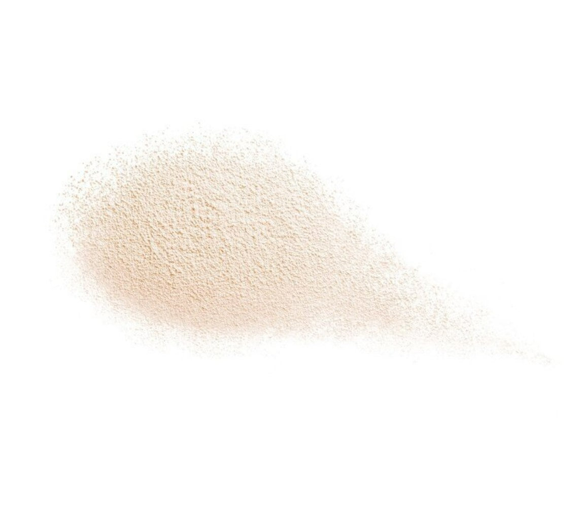 Shiseido Future Solution LX Total Radiance Loose Powder E 10g